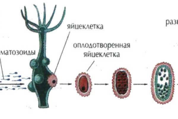 Ссылка на кракен 2024