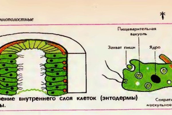 Ссылка кракен через тор