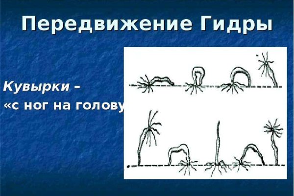 Кракен даркнет маркетплейс