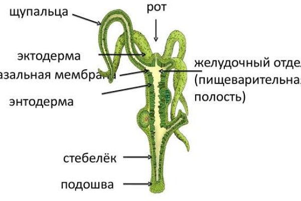 Ссылка кракен не работает